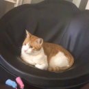 정도물류(주) | 경기도 용인 올리브영물류센터 야간근무 알바 후기 (준비물, 지원 전 체크리스트)