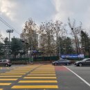 덕릉로(남측) 이미지