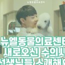 뉴엘동물의료센터 이미지