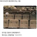 [🇫🇷프랑스워홀D+171] 파리 길빵 일인자