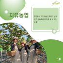 샤인농부협동조합 네이버블로그