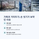 돼지농장 이미지