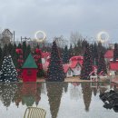 오늘 디저트 | 김제대형카페 오늘여기 주차, 포토존, 디저트 후기!