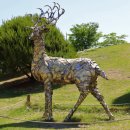 행복누리공원 이미지