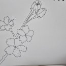 펜 드로잉 이미지