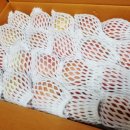 신 하나농장 이미지