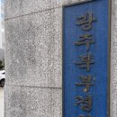 테이저건 맞고 검거된 50대 살인미수 용의자 숨져(종합) 이미지