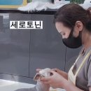 로댕 펫 살롱 이미지