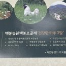 영월백봉오골계농장
