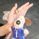 영양족발 | 신도림 족발집 화곡영양족발 솔직후기