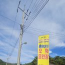 고령소방서 | 젊은고령, 힘있는 고령에서 9월 26일 치매극복 실종예방 진행 / 기웅아재섭외로 진행된 치매극복