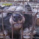 진실농장 이미지