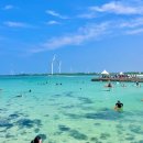 스테이 하하하 이미지