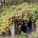 율곡수목원(1) | [파주] 율곡수목원 방문 후기