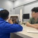 동구종합동물병원 이미지