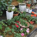 화가의정원 이미지