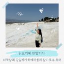 안탈리아 파묵칼레 가는방법 및 당일치기 투어 추천