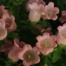 수락산자연공원 이미지