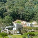 야채수건강원 이미지