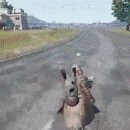 워프게이트 이미지