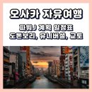 돈돈돈오부장 | 일본 오사카 자유여행 일정 4박 5일 파워J, 교토, 유니버셜, 일정 공유, 계획표