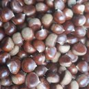 대경농장2 이미지