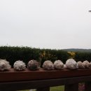 온종일바다 이미지