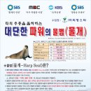 영양식품 이미지