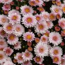 통영전문장례식장 이미지