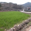 채수면 농장 이미지