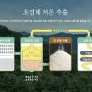 코리안파인
