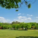 푸른하늘공인중개사사무소 이미지