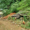 복이네 농장 이미지