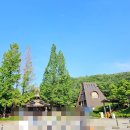 에버랜드 홈브리지 캐빈호스텔 본관 후기!