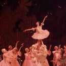 호두까기 이미지