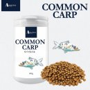 코이푸드 이미지