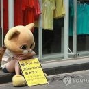알바 Daum카페