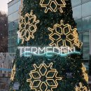 이마트24 이천이평점 | 이천 테르메덴 온천 찜질방 후기 및 수영복 준비물