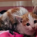 씨유보령주포점 이미지