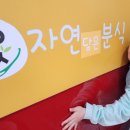 자연훔친분식