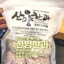 산양한과