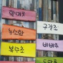 구가네 이미지