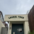 1공단로6길1L-6 | 대구 청첩장모임하기 좋은 레스토랑 맛집 동촌유원지 로렐트리