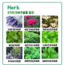 풍성한세탁 이미지