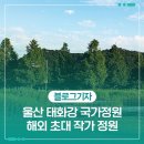 울산 태화강 국가정원, 해외 초대 작가 정원으로 빛나다