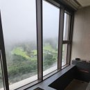 소노펠리체 델피노 이미지