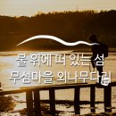 영주시 선비촌주차장 공공자전거무인대여소 | 섬 무섬마을 외나무다리 :: 영주무섬마을, 영주 마을, 영주 여행, 영주 전통마을, 영주 힐링, 주말여행