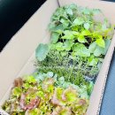 동구꽃백화점 이미지