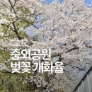 (주)중외정보기술 | 광주 벚꽃 명소 중외공원 나들이, 주말 비오기전에 얼른 다녀오세요.