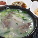 [2년 전 오늘] (세종 국밥맛집)물맷돌 한우곰탕-솔직후기